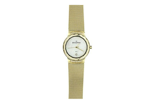 Skagen watch band SKW2029