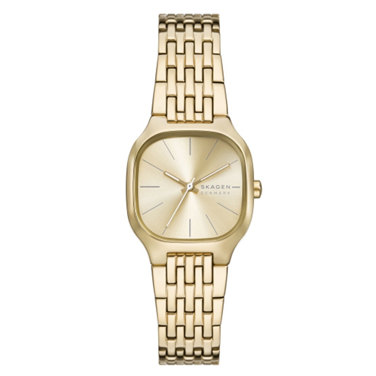 Watch strap Skagen SKW3162