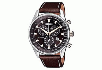 Citizen watch strap AT2396-19X