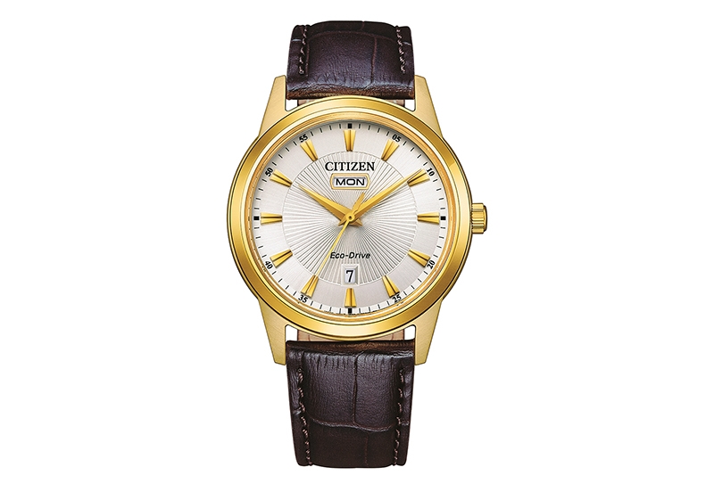 Citizen Watch strap AW0102-13AE