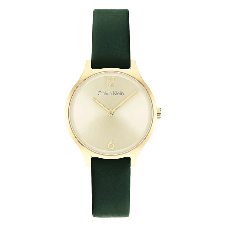 Calvin Klein watch-band 25200147 Timeless