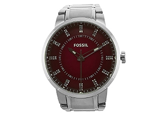 Fossil watch strap FS4901