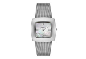 Skagen watch band 570STW