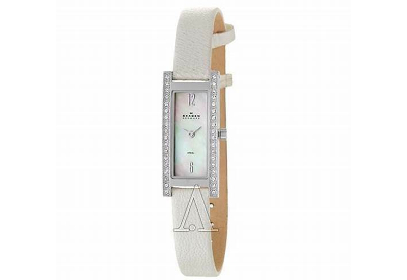 Skagen watch band 266SSLLV1