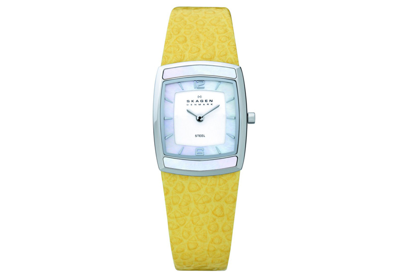 Skagen watch band 855SSLY