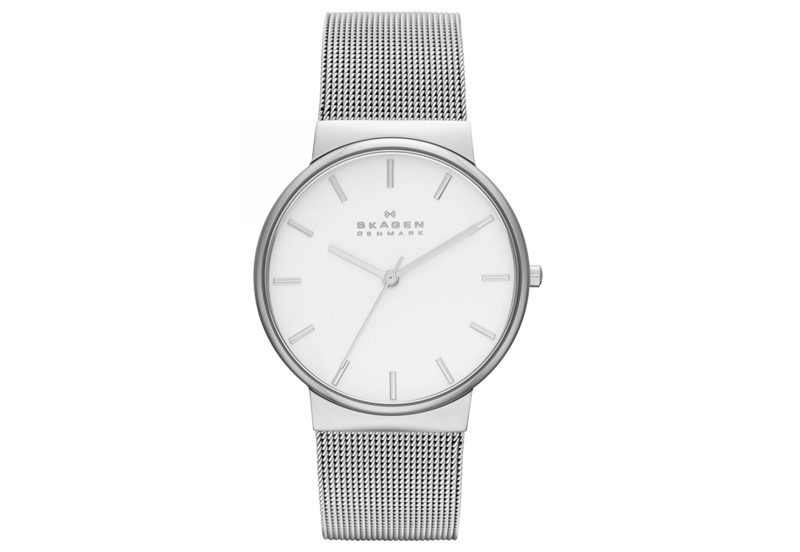 Skagen watch band SKW2201