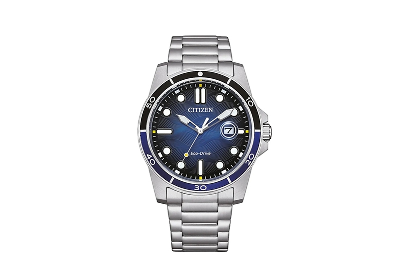 Citizen Watch strap AW1810-85L