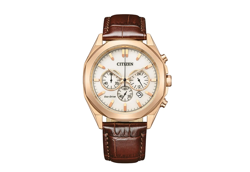Citizen Watch strap CA4593-15A