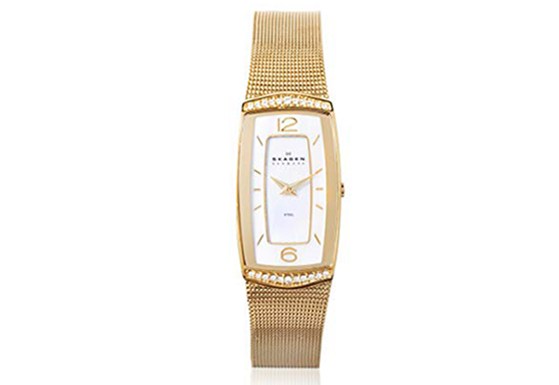 Skagen watch band 887SGG