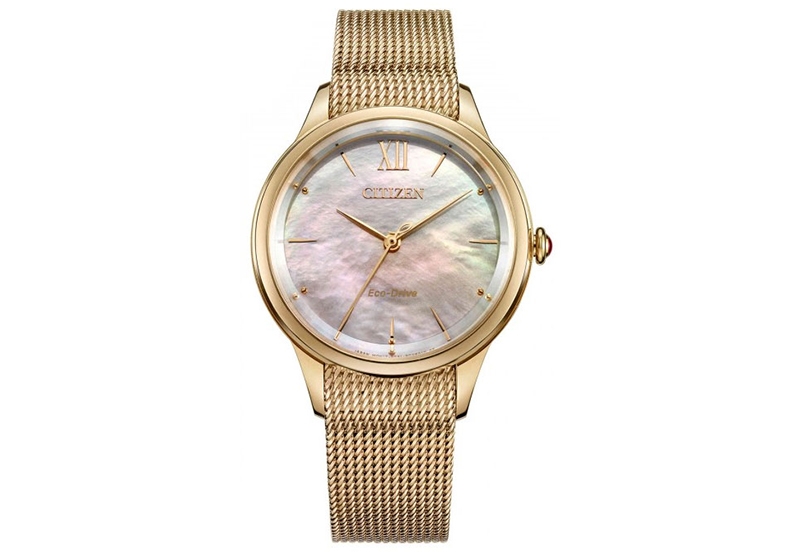 Citizen Citizen L EM0813-86Y watch strap