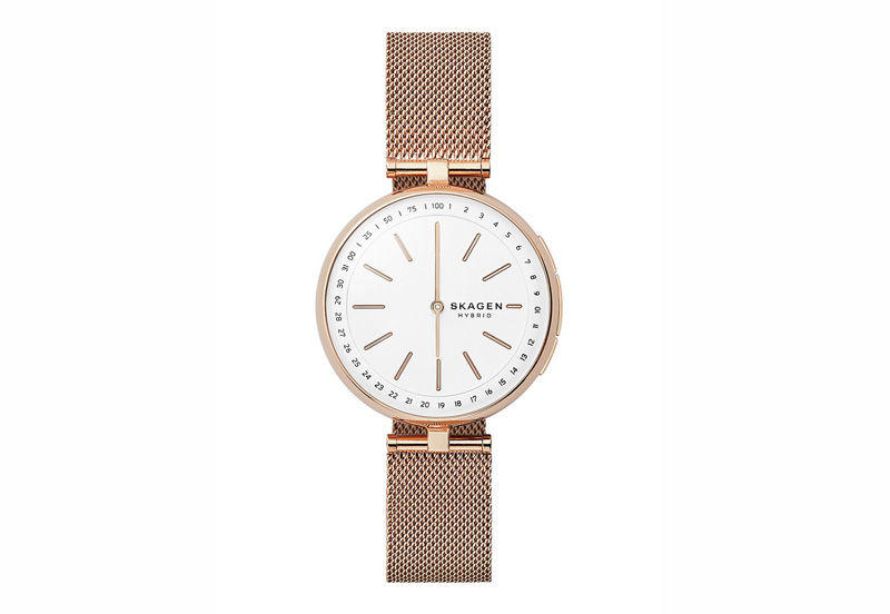 Skagen watchstrap SKT1404