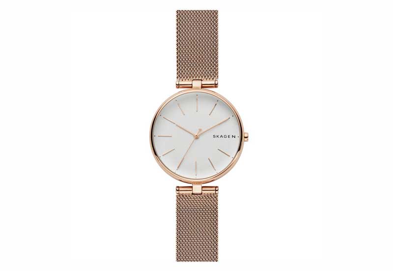 Skagen watch strap SKW2709