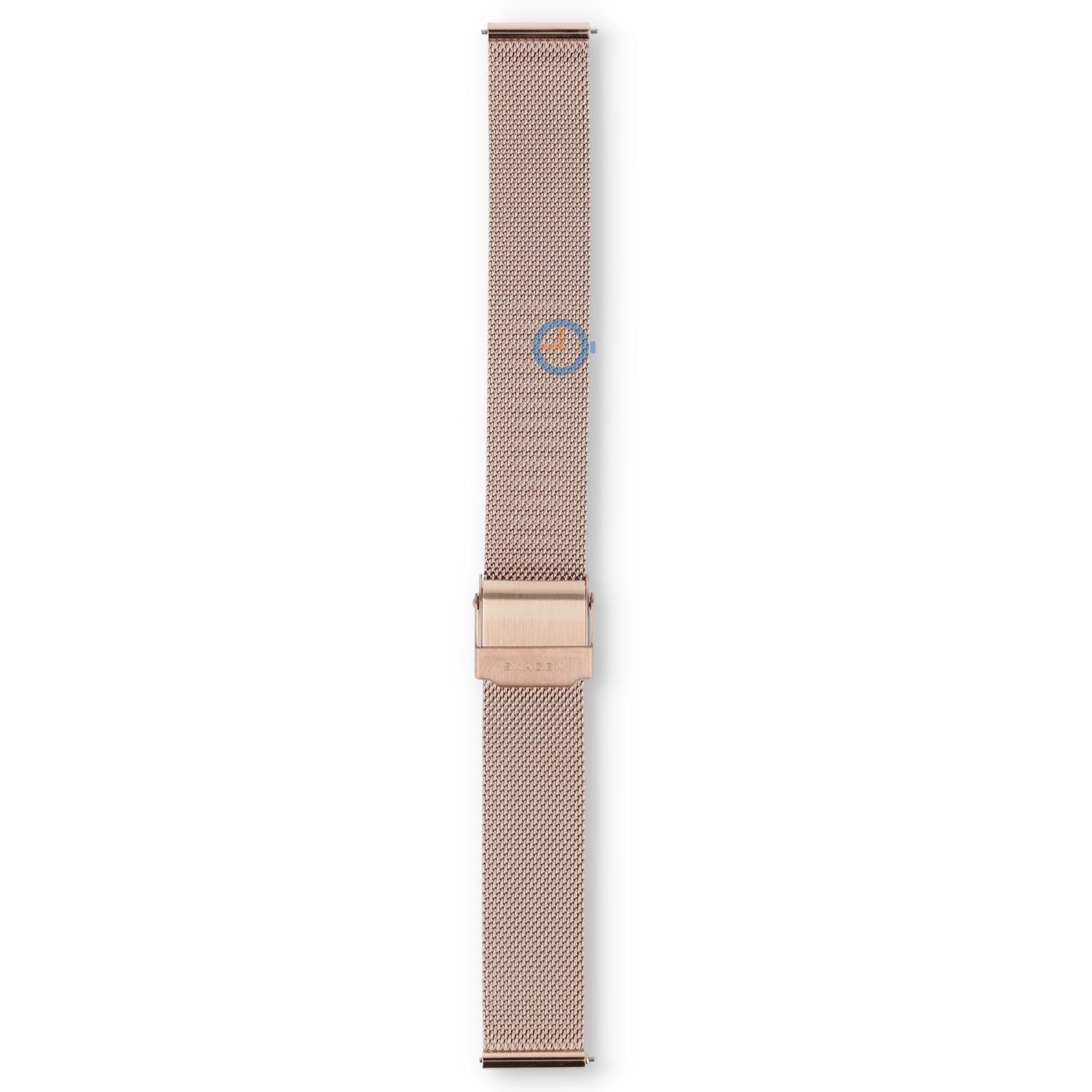 Skagen Watch Strap SKW3095