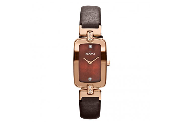 Skagen watch band H01SRLD