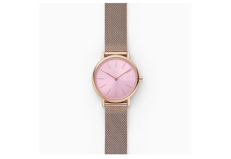 Skagen watch strap SKW2975