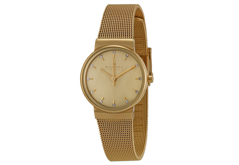 Skagen watch band SKW2196
