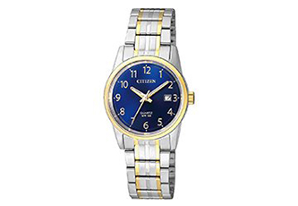 Citizen watchband EU6004-56L