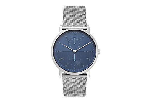 Skagen watch band SKW6500