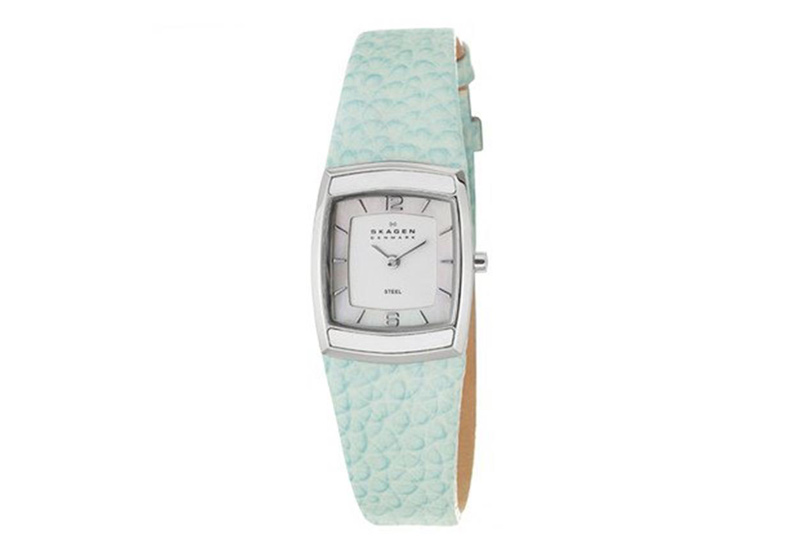 Skagen watch band 855SSLI