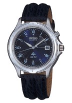 Seiko watchstrap SGT315P1