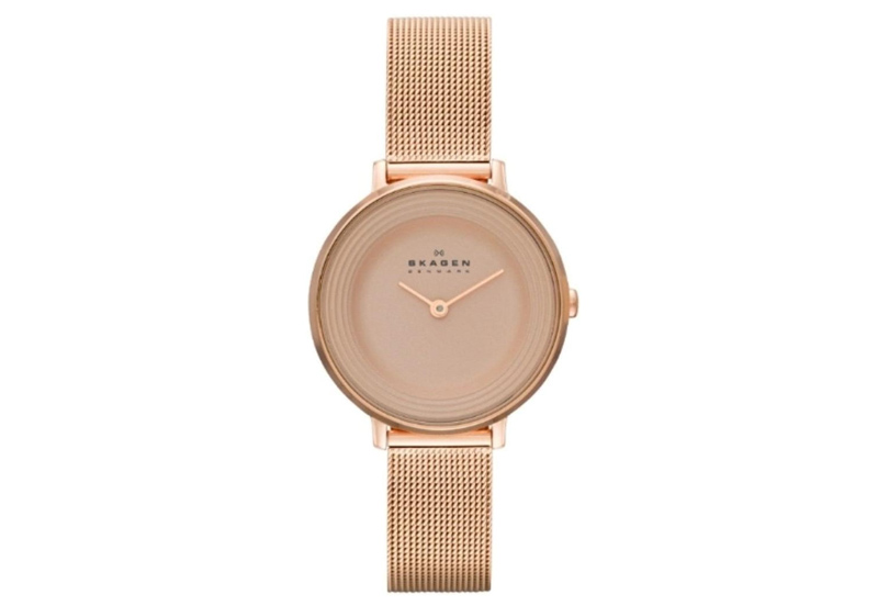Skagen watch band SKW2213