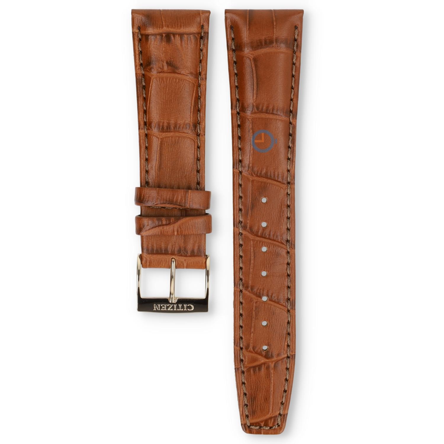 Citizen Watch strap AW1753-10A