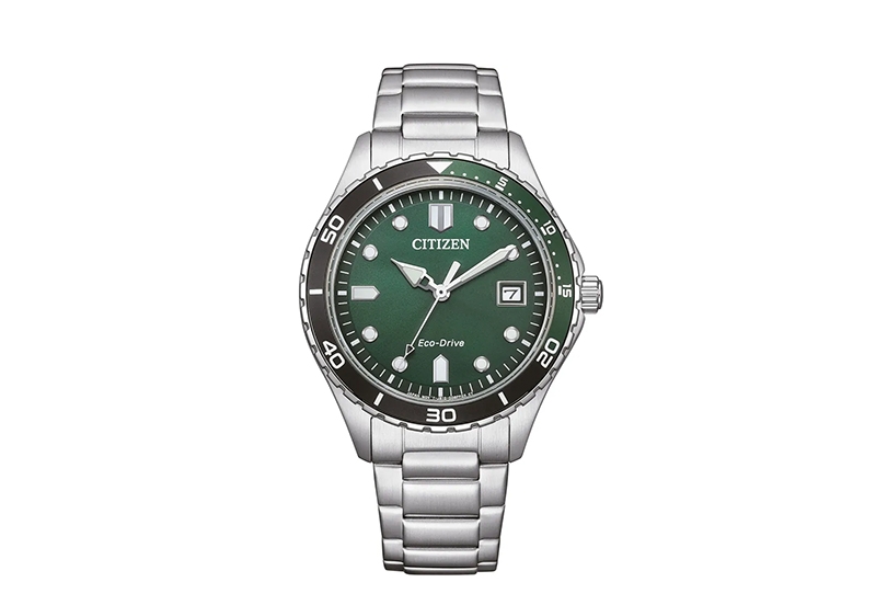 Citizen Watch strap AW1828-80X