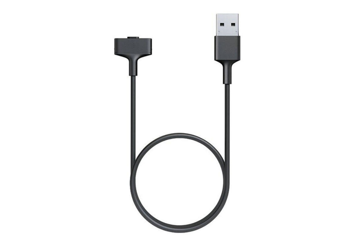 Fitbit Ionic charger