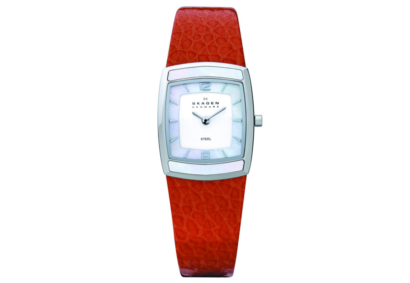 Skagen watch band 855SSLO