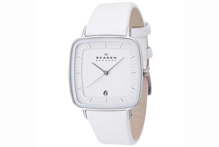 Skagen watch band SKW2013