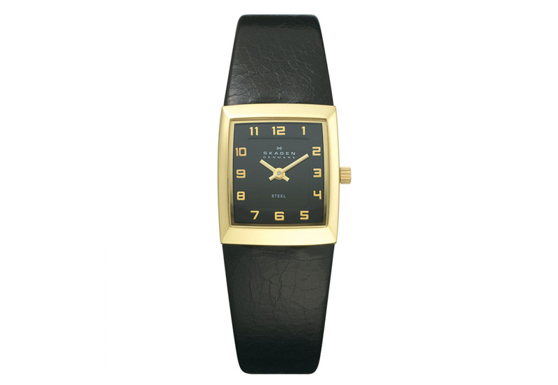 Skagen watch band 523XSGLB