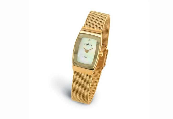 Skagen watch band 271SGG