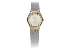 Skagen watch band 432SGS
