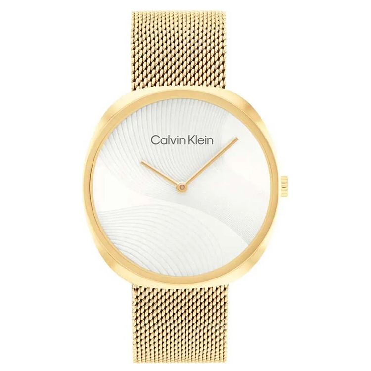 Calvin Klein watch-band 25200246 Sculpt