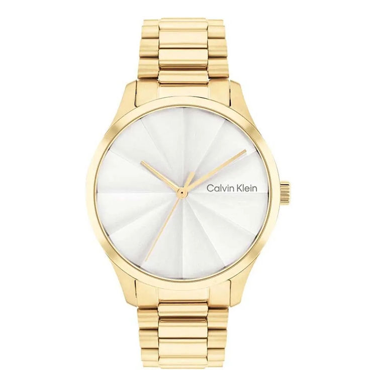 Calvin Klein watch-band 25200232 Burst