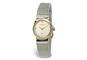 Skagen watch band 590SGS