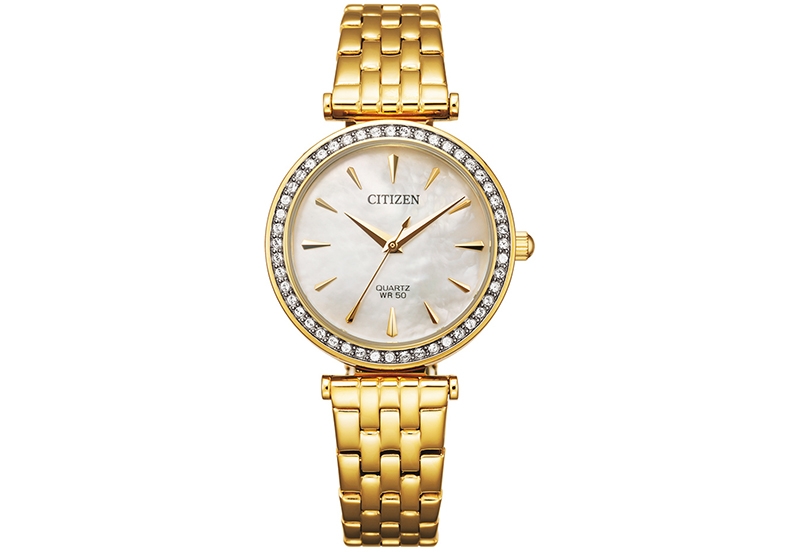 Citizen  ER0212-50Y watch strap