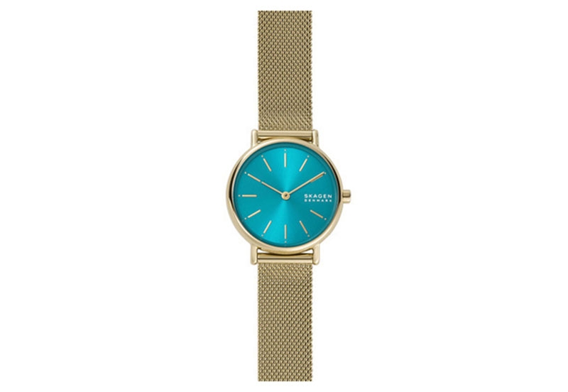 Skagen watch strap SKW2984