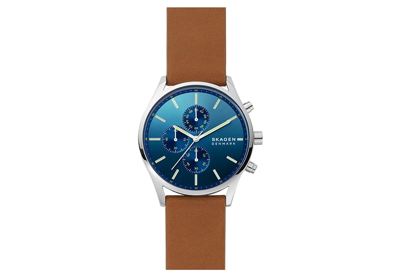 Skagen Holst watch strap SKW6732