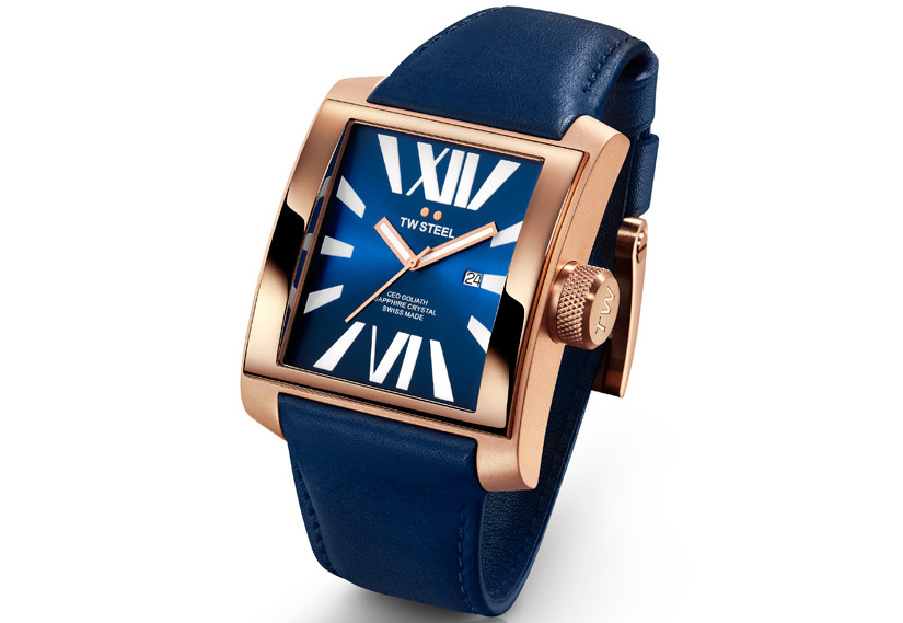 Watchstrap TW STEEL CE3018