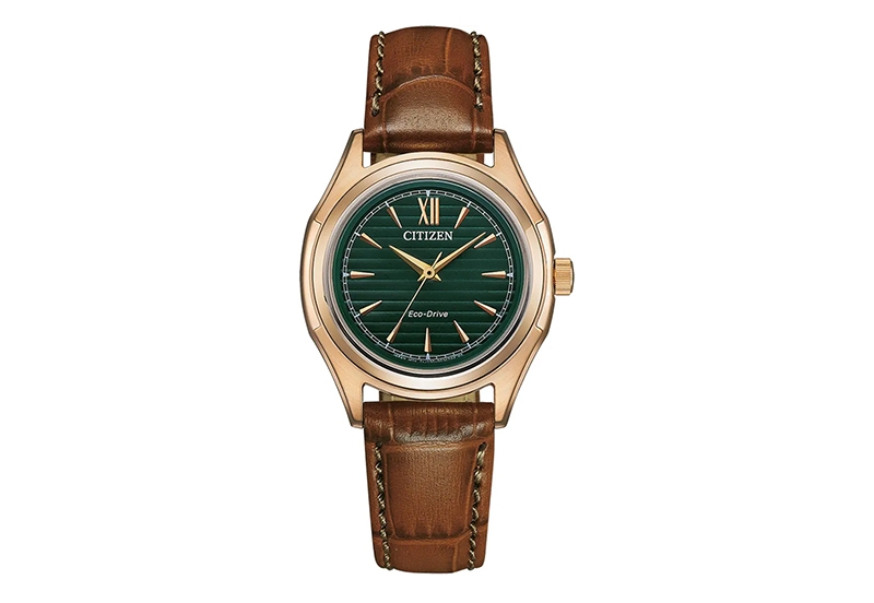Citizen Watch strap FE2113-16X
