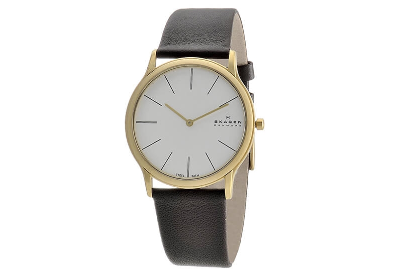 Skagen watch band 858XLGLD