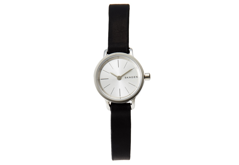 Skagen watch band SKW2361