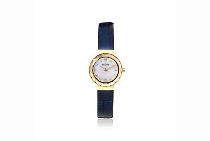 Skagen watch band SKW2125