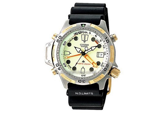 Citizen watchstrap ProMaster AL0024-06E