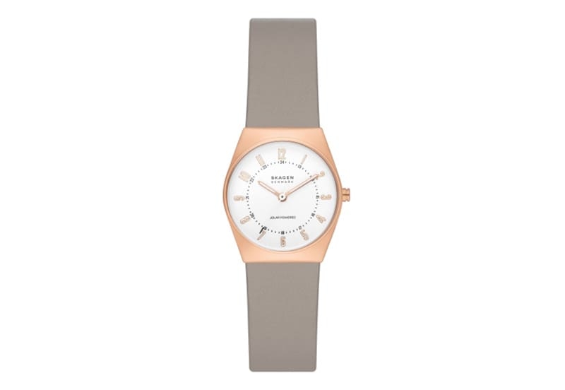 Skagen Watch Strap SKW3079