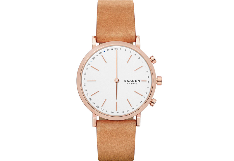 Skagen watchstrap SKT1204