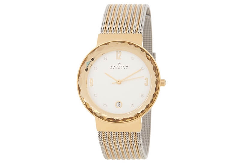 Skagen watch band SKW2087
