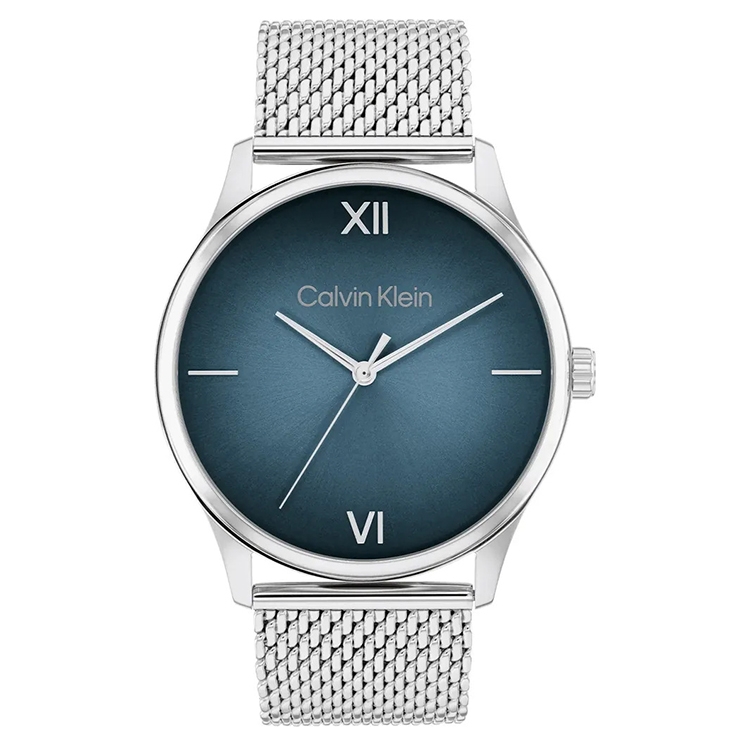 Calvin Klein watch-band 25200450 Ascend