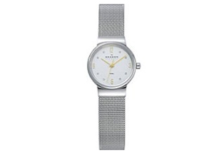 Skagen watch band 355XSGSC